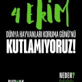 4 Ekim Dünya Hayvanları Koruma Günü’nü Kutlamıyoruz!